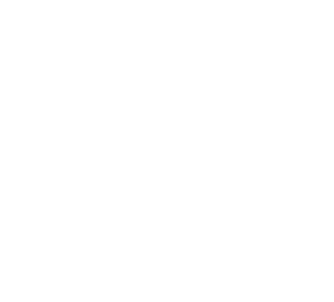 logo white